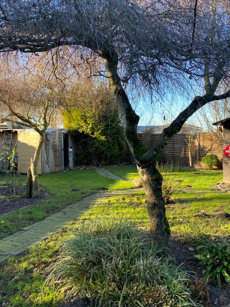 Grundriss Garten Zweifamilienhaus Billerbeck