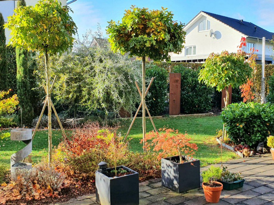 Grundriss Garten-Ansicht Einfamilienhaus Ascheberg