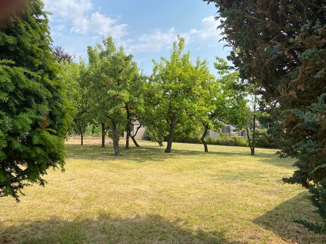 Grundriss Grundst�ck Wohngrundst�ck Billerbeck