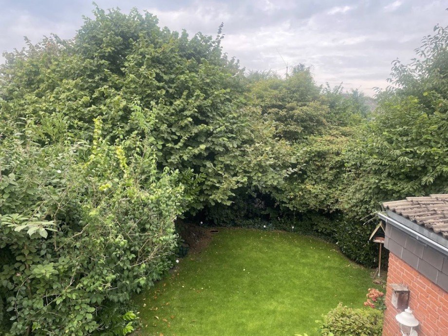 Grundriss Gartenblick Reihenendhaus Mecklenbeck